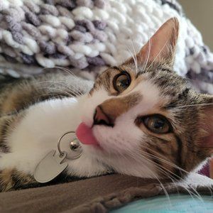 Meet your Posher, Tammy